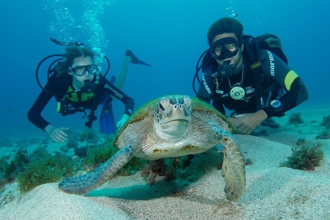 Mergulho nas Águas Cristalinas de Fernando de Noronha